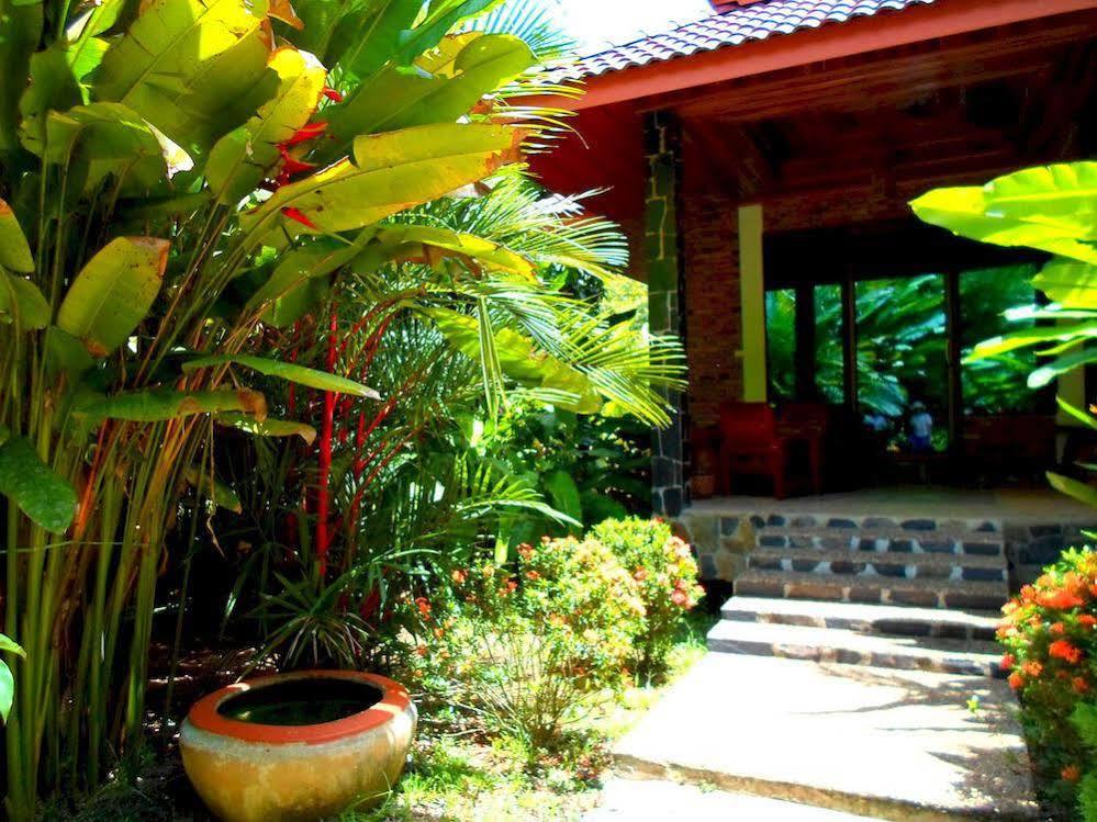 Khao Sok Riverside Cottage Khao Sok National Park Eksteriør bilde